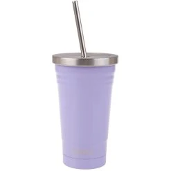 Oasis Double Wall Insulated Tumbler W/Straw