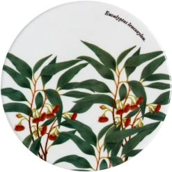 Maxwell And Williams Royal Botanic Gardens Victoria Coaster - Flowering Gum