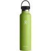 Hydro Flask 24oz Standard Mouth Flex Cap - Seagrass
