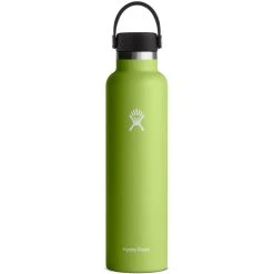 Hydro Flask 24oz Standard Mouth Flex Cap - Seagrass
