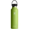 Hydro Flask 21oz Standard Mouth Flex Cap - Seagrass