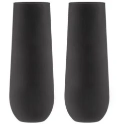 TEMPA Aurora Matte Black 2pk Stemless Champagne Glass